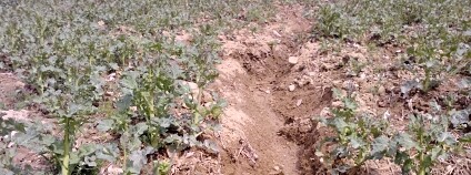 Foto:  Karel Zvářal