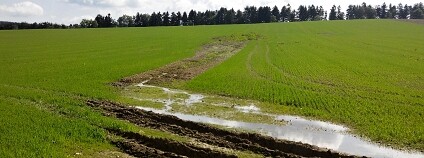 Foto: Oldřich Syrovátka