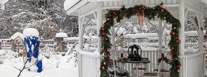 Zahrady oceněné European Award for Ecological Gardening 2025 Foto: Přírodní zahrada z.s.