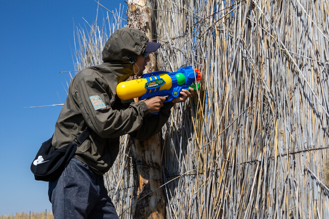 Veterinář Daniar Kalijev aplikuje zpoza plotu germicidní roztok s insekticidem na rány Zety II. Dětská stříkací puška se díky svému dosahu ukázala jako vhodnější řešení než profesionální veterinární vybavení.