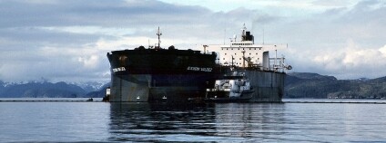 24. března 1989 tanker Exxon Valdez najel na mělčinu u Bligh Reef v  zátoce Prince Williama na Aljašce. Do šesti hodin od nárazu se z Exxon Valdez vylilo přibližně 259,500 barelů ropy. Exxon Valdez v té době znamenal největší únik ropy ve vodách USA. V roce 2010 tento rekord převzala ropná plošina Deepwater Horizon.