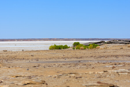 Nejzvláštnější na jezeře je, že je v něm málokdy voda