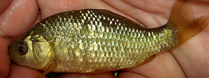 Foto: Ondřej Dočkal