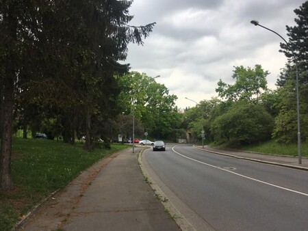 Z důvodu napadení kůrovcem bude v ulici Na Ořechovce pokáceno 16 smrků a 5 douglasek. Během roku proběhne náhradní výsadba složená z jiných druhů.