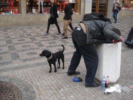Pokud si koupíte klobásu na Václavském náměstí a nedojíte ji, je velká pravděpodobnost, že i když ji hodíte do koše, dojí ji někdo jiný.
