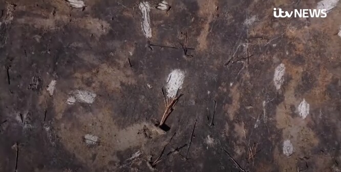 Odlesňování Amazonie.