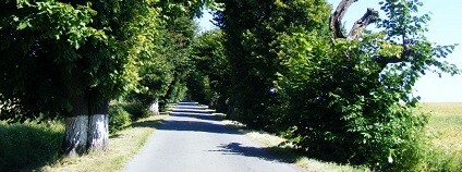 foto: Marcela Klemensová / arnika.org