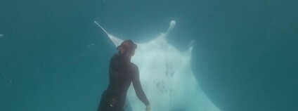 foto: ODN / youtube.com