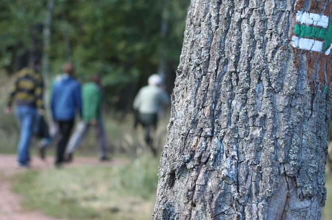 Na základě dohody budou v CHKO v Brdech upraveny cesty a jejich značení.