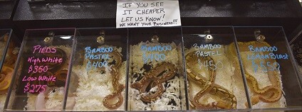 Foto: Lockwood et al. (2019)