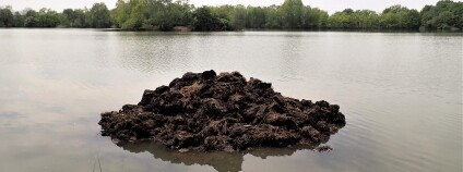 Foto: Vojtěch Kolář