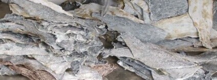 foto: CGTN Africa / youtube.com