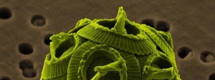 Foto: Richard Bartz / Wikimedia Commons