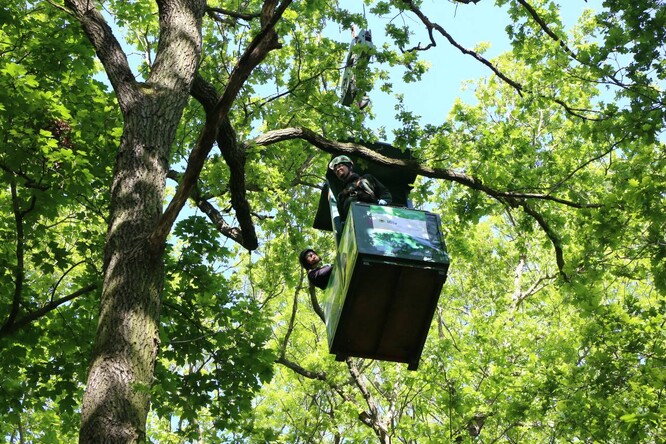 Vědci provádí výzkum v korunovém patře lesa z gondoly výzkumného jeřábu.