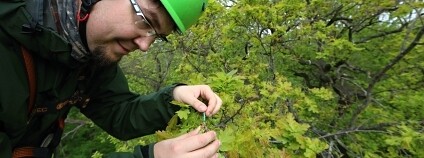 Foto: Tereza Volfová / Biologické centrum Akademie věd ČR