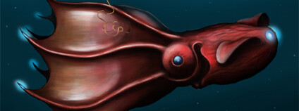 Foto:  Sitron / Přírodovědecká Fakulta UK