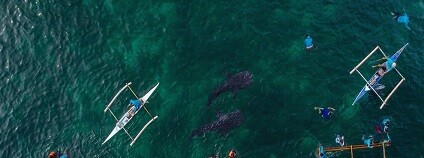 foto: Luigi Borromeo