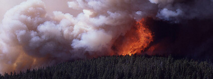 Oheň zuří v národním parku Yellowstone. Foto z roku 1988: Jim Peaco / National Park Service