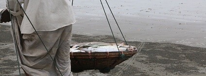 foto:  coxsbazarbd / pixabay.com