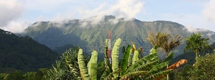 Indonéský ostrov Flores Foto: Gabriel ^(oo)^ Flickr.com