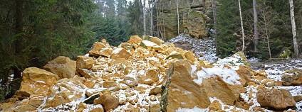 Foto:  Jiří Adamovič / Akademie věd ČR