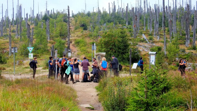 Na česko-rakousko-bavorském trojmezí, NP Šumava, 2022.