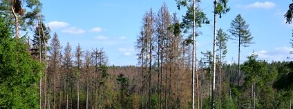 Foto: Roman Modlinger