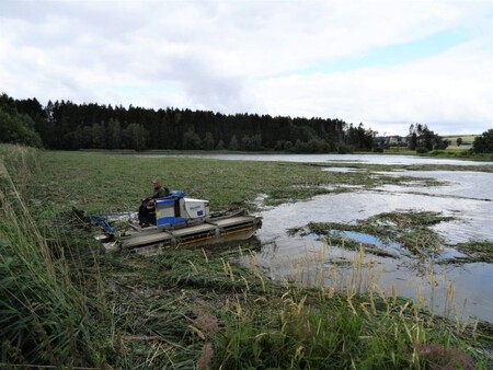 V tento okamžik je již většina rákosin na rybníce posečených a probíhá jejich vyklízení na břeh.
