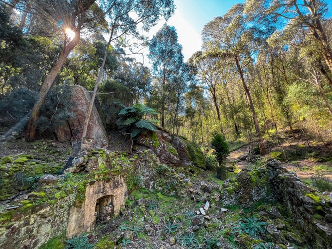 Prostředí, do něhož by se u Lithgow měli vakoplši vracet.