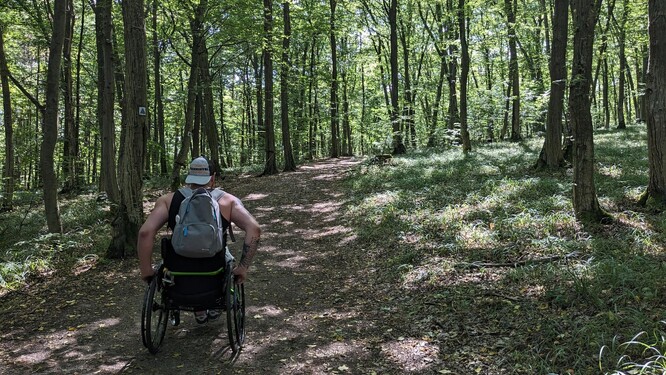 Cesta k parkovišti u vyhlídky Hennerweg v Rakousku.