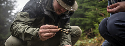 Rysí a vlčí hlídky Foto: Jana Kloučková Kudrnová Hnutí DUHA