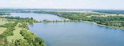 Voda v národní přírodní rezervaci Lednické rybníky Foto: AOPK ČR