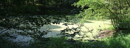 Vyschlá nádrž Foto: Miroslav Hruška