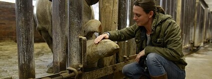 Foto: Kate Brooksová / The Last Animals