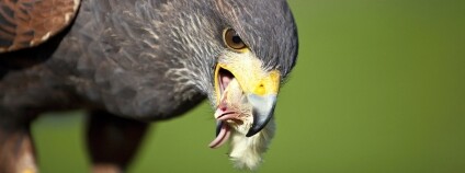 Foto: Jan Čejka / Stanice Pavlov