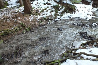 Únik závadných látek do potoka.