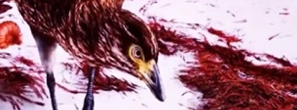 foto: Mirror24 News / youtube.comm