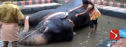 foto: Saffron India Tours / youtube.como