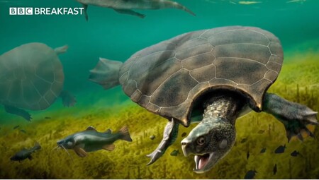 Sladkovodní plaz, jehož zkamenělé pozůstatky nalezli vědci v Kolumbii a ve Venezuele, dosahoval rozměrů osobního auta.