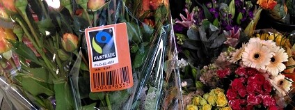 Foto: Faitrade Česko a Slovensko