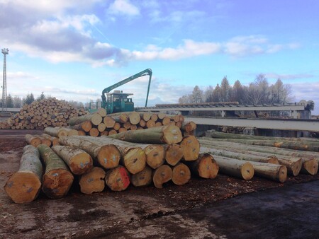 Les nemá jen produkovat kulatinu