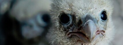 foto: Unipetrol / twitter.com