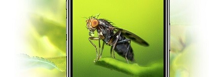 foto: citynaturechallenge.cz