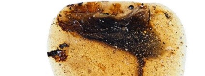 foto: Lida Xing / PA