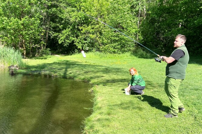 "V pravidelných intervalech vsypáváme pomocí dávkovací rakety doporučené dávky bakterií do různých částí vodní plochy,“ uvedl Rostislav Palán z odboru životního prostředí bohumínské radnice.