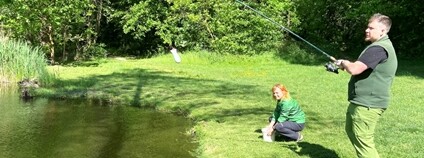 Aplikace bakterií do rybníku v Gliňoči v Bohumíně Foto: Město Bohumín