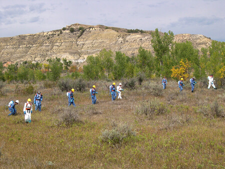 Postřik herbicidů na území Národního parku Theodora Roosevelta má potlačit invazní druhy.