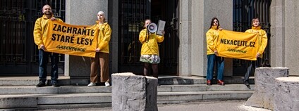 Kampaň Nekácejte. Foto: Matúš Molnár Greenpeace