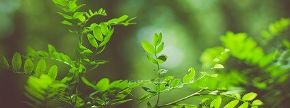 Foto: eternalbullet / pixabay.com