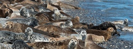 foto: wolfgang_vogt pixabay.com